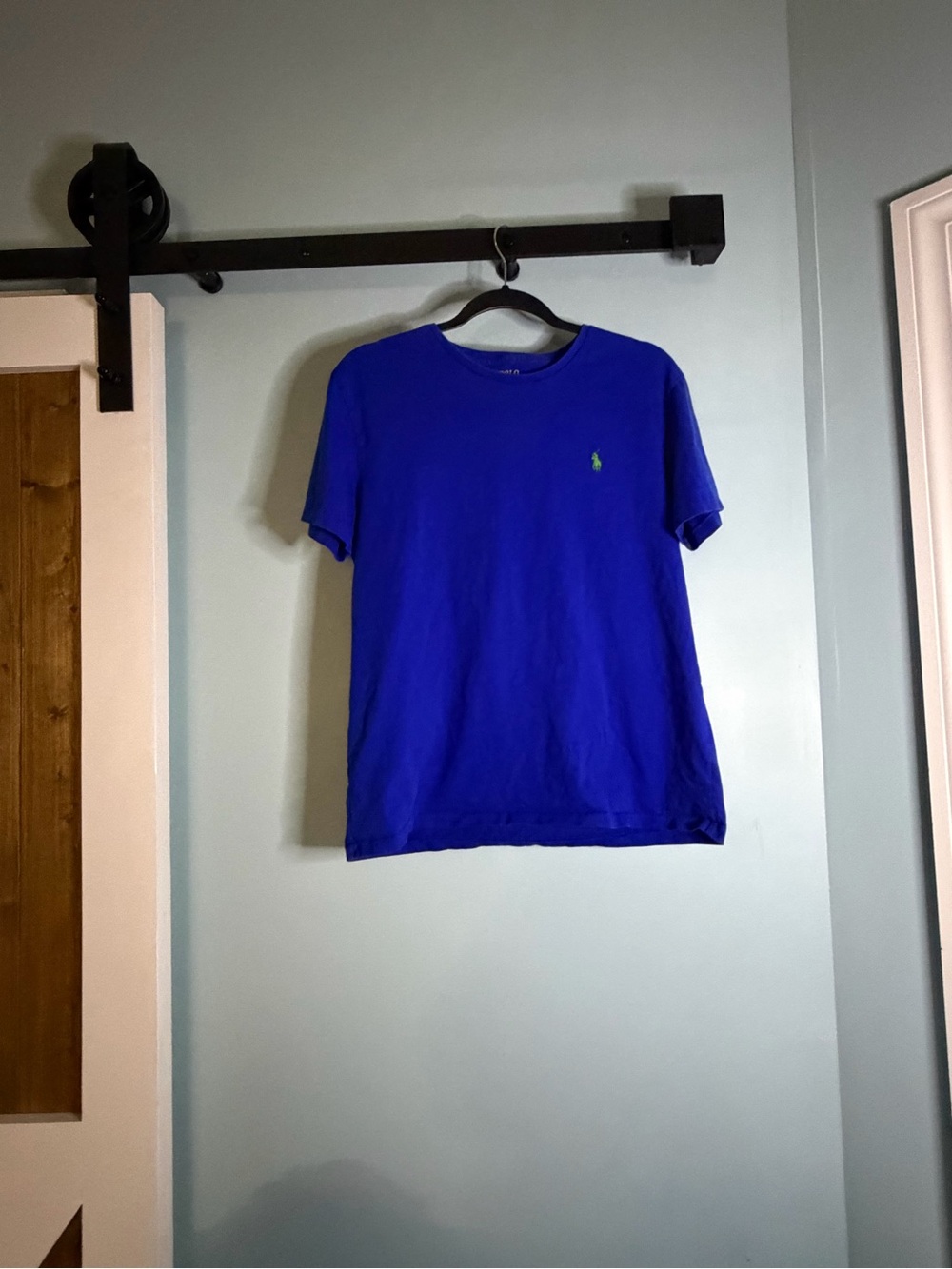 Polo Ralph Lauren Men’s Medium Royal Blue T-Shirt Green Pony Logo